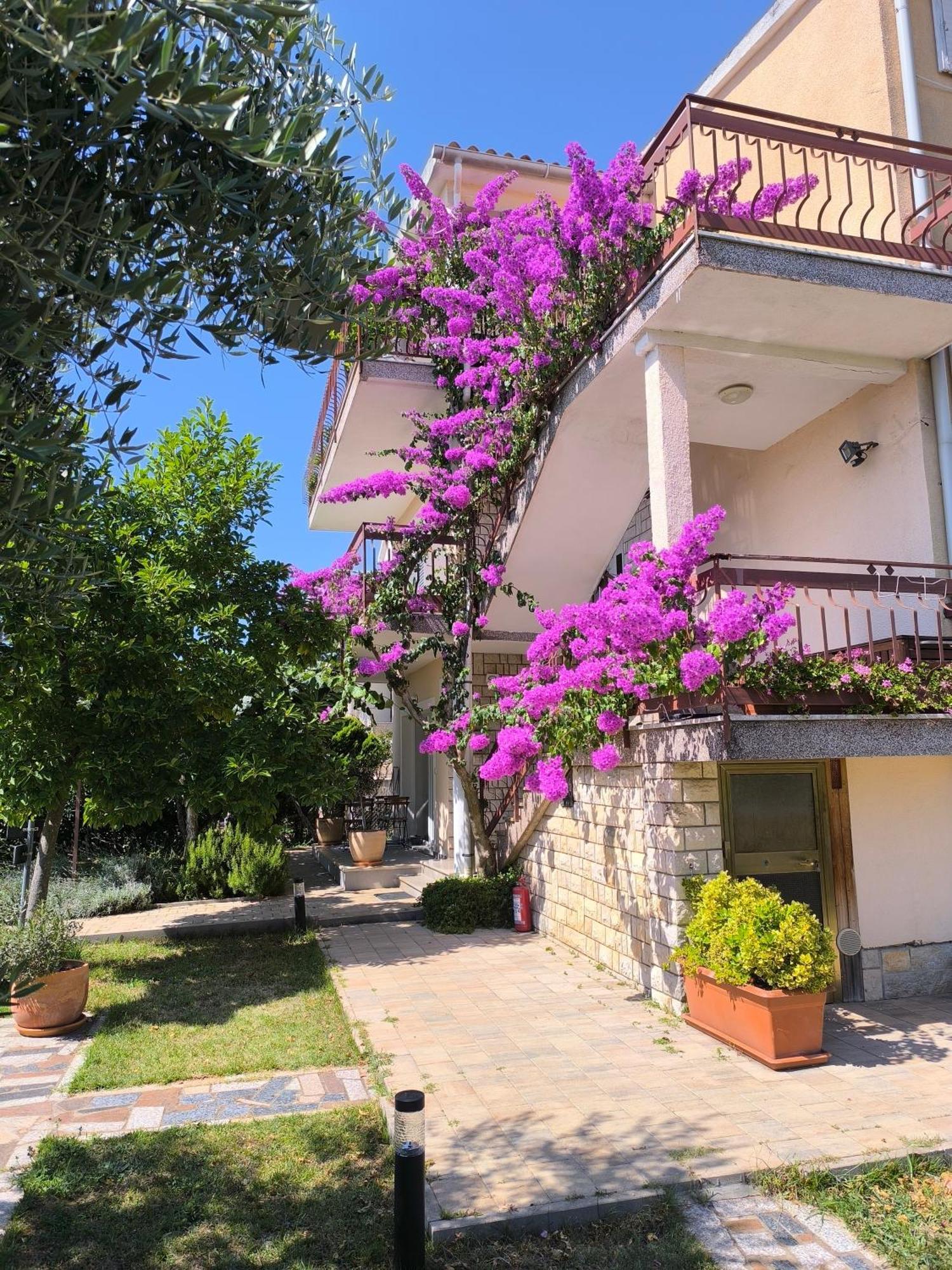 Lirio Apartment