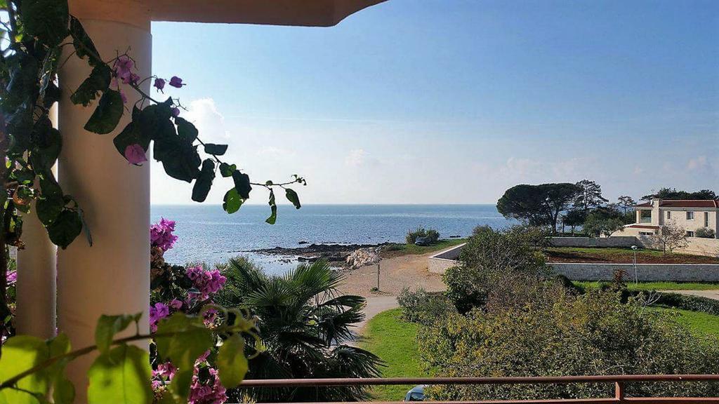 Lirio Apartment